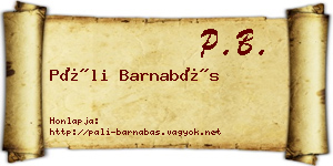 Páli Barnabás névjegykártya