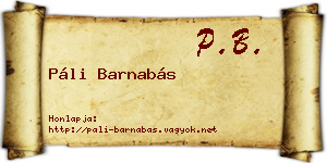 Páli Barnabás névjegykártya